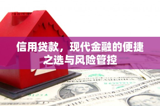 太湖信用贷款，现代金融的便捷之选与风险管控