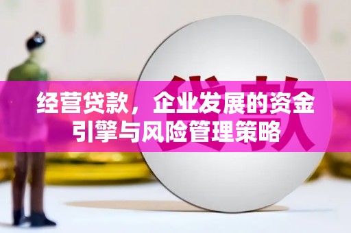 太湖经营贷款，企业发展的资金引擎与风险管理策略