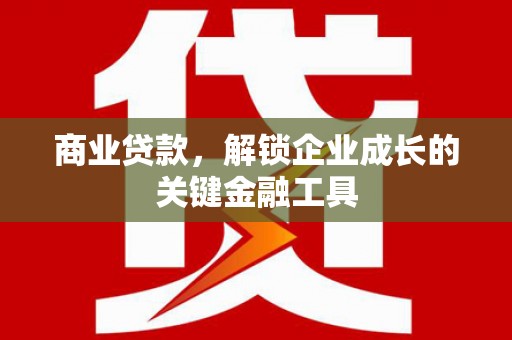 太湖商业贷款，解锁企业成长的关键金融工具