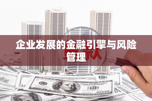 太湖企业发展的金融引擎与风险管理