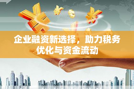 太湖企业融资新选择，助力税务优化与资金流动