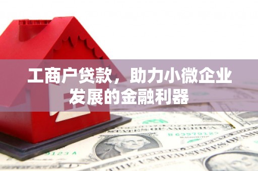 太湖工商户贷款，助力小微企业发展的金融利器