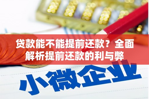 太湖贷款能不能提前还款？全面解析提前还款的利与弊