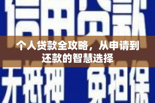 太湖个人贷款全攻略，从申请到还款的智慧选择