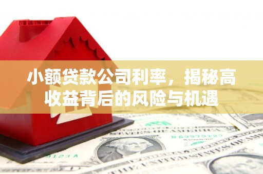 太湖小额贷款公司利率，揭秘高收益背后的风险与机遇