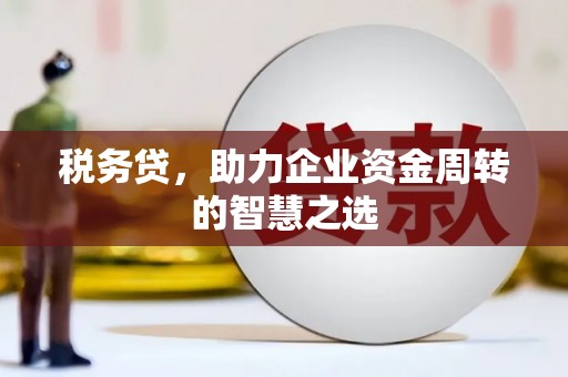 太湖税务贷，助力企业资金周转的智慧之选