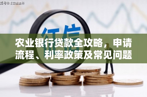 太湖农业银行贷款全攻略，申请流程、利率政策及常见问题解析