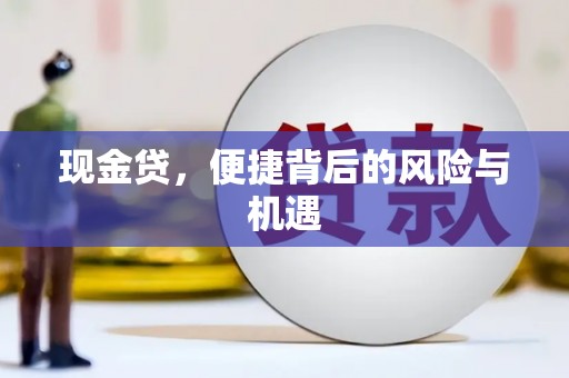 太湖现金贷，便捷背后的风险与机遇