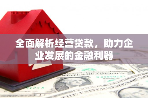 太湖全面解析经营贷款，助力企业发展的金融利器