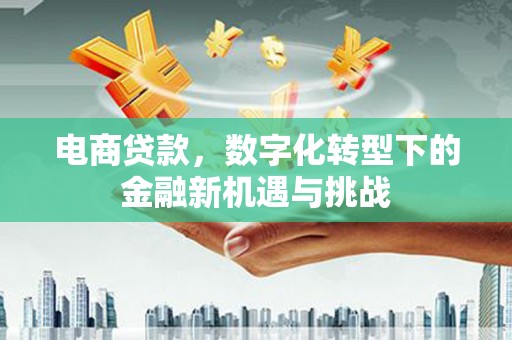 太湖电商贷款，数字化转型下的金融新机遇与挑战
