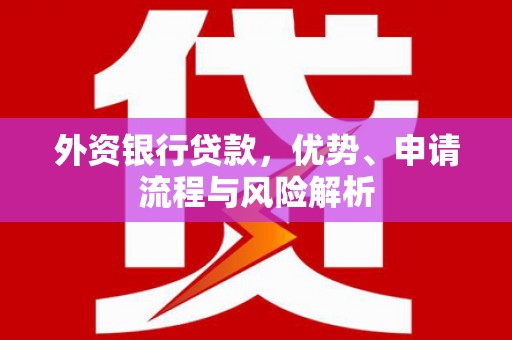 太湖外资银行贷款，优势、申请流程与风险解析
