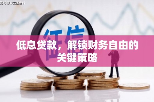 太湖低息贷款，解锁财务自由的关键策略