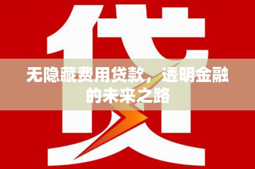 太湖无隐藏费用贷款，透明金融的未来之路