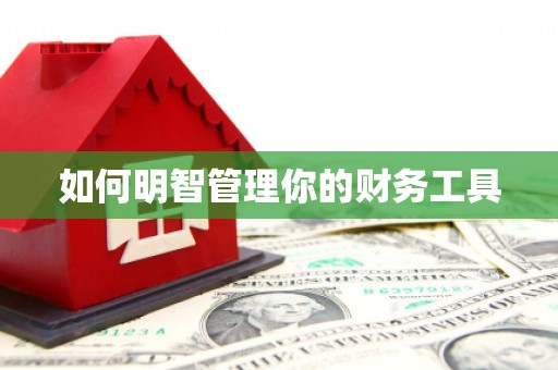 太湖如何明智管理你的财务工具