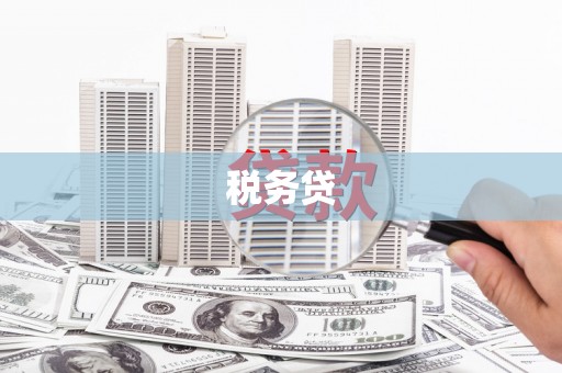 太湖税务贷