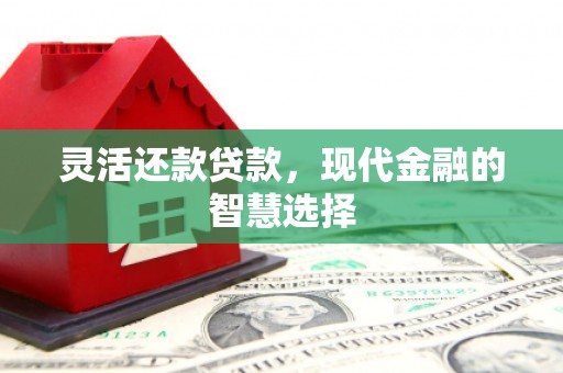 太湖灵活还款贷款，现代金融的智慧选择