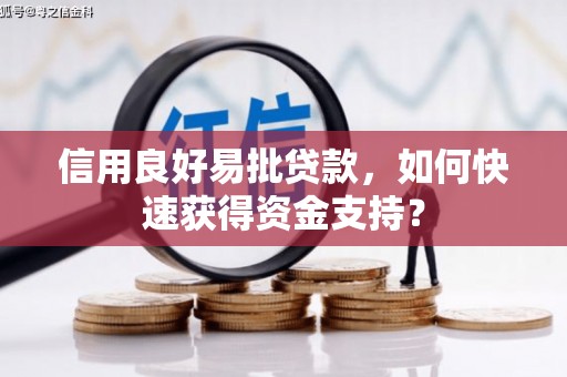 太湖信用良好易批贷款，如何快速获得资金支持？