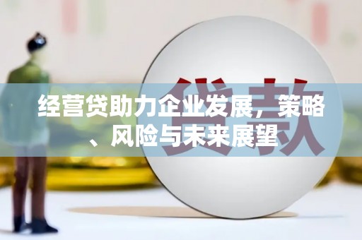 太湖经营贷助力企业发展，策略、风险与未来展望