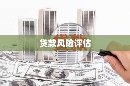 太湖贷款风险评估