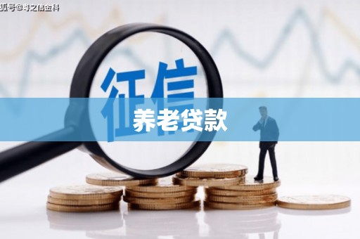 太湖养老贷款
