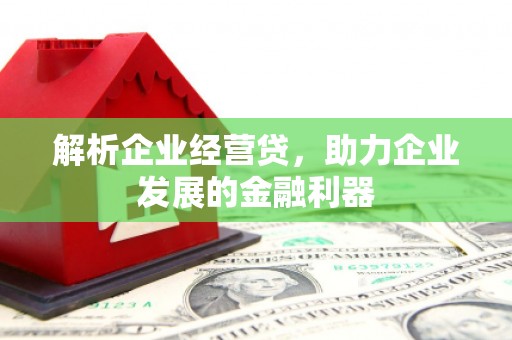 太湖解析企业经营贷，助力企业发展的金融利器