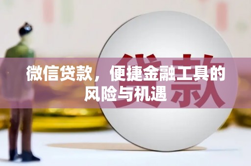 太湖微信贷款，便捷金融工具的风险与机遇