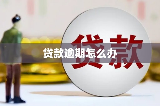 太湖贷款逾期怎么办
