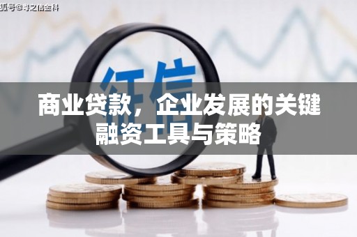 太湖商业贷款，企业发展的关键融资工具与策略
