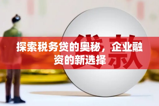 太湖探索税务贷的奥秘，企业融资的新选择