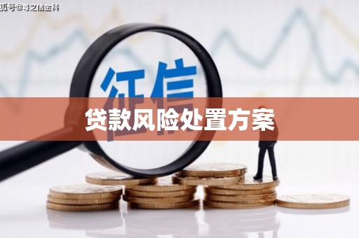 太湖贷款风险处置方案