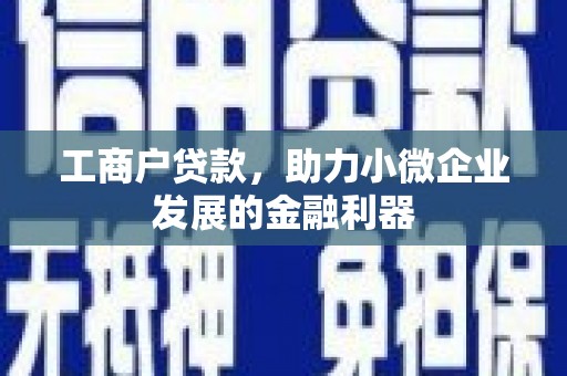 太湖工商户贷款，助力小微企业发展的金融利器