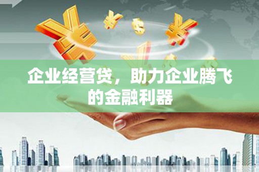 太湖企业经营贷，助力企业腾飞的金融利器
