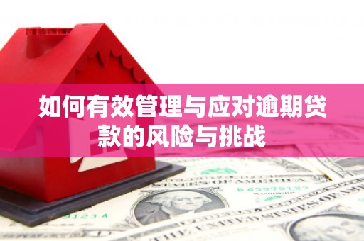 太湖如何有效管理与应对逾期贷款的风险与挑战