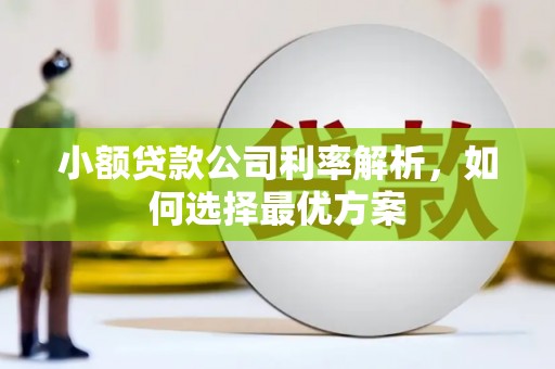 太湖小额贷款公司利率解析，如何选择最优方案