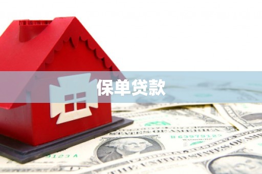 太湖保单贷款