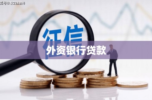 太湖外资银行贷款