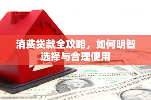 太湖消费贷款全攻略，如何明智选择与合理使用