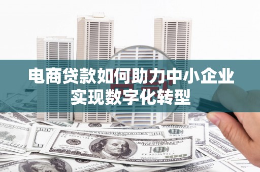 太湖电商贷款如何助力中小企业实现数字化转型