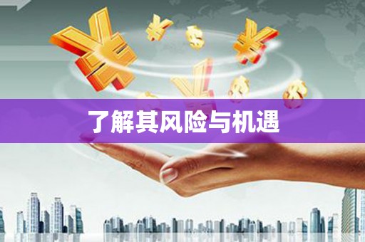 太湖了解其风险与机遇