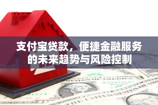 太湖支付宝贷款，便捷金融服务的未来趋势与风险控制