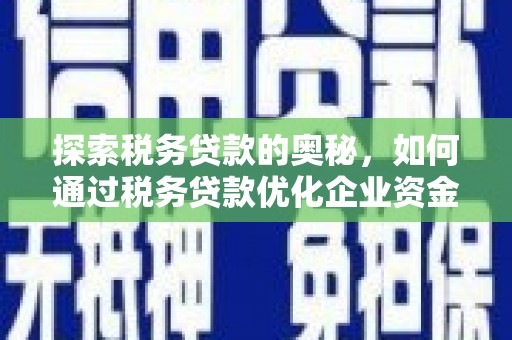 太湖探索税务贷款的奥秘，如何通过税务贷款优化企业资金流