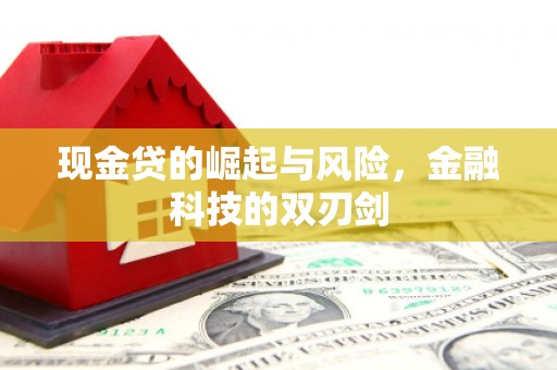 太湖现金贷的崛起与风险，金融科技的双刃剑