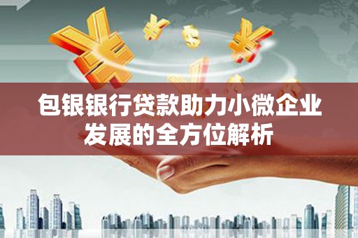 太湖包银银行贷款助力小微企业发展的全方位解析