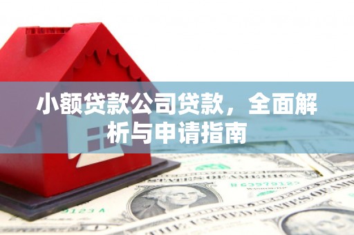 太湖小额贷款公司贷款，全面解析与申请指南