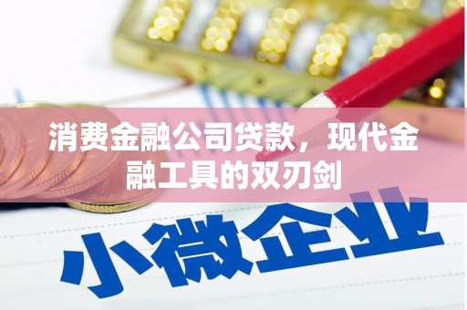 太湖消费金融公司贷款，现代金融工具的双刃剑