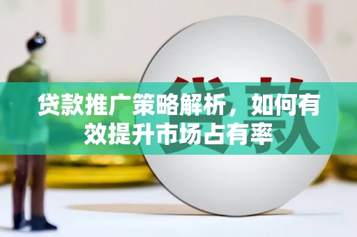 太湖贷款推广策略解析，如何有效提升市场占有率