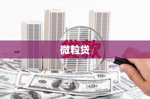 太湖微粒贷