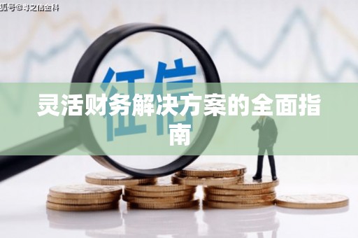 太湖灵活财务解决方案的全面指南
