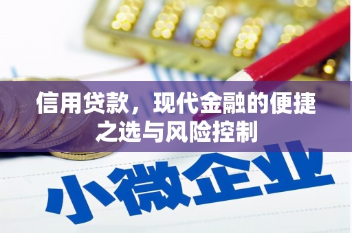 太湖信用贷款，现代金融的便捷之选与风险控制