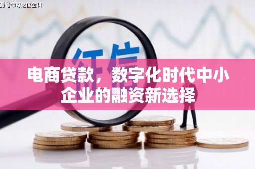 太湖电商贷款，数字化时代中小企业的融资新选择